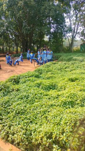 Indian Modern Matric Hr. Sec. School,Best school in tirupattur,Best Matriculation School in Tirupattur,Best school near tirupattur,Best school in Kasinaickenpatti,schools near me tirupattur,IMMS,imm schools,immschools,tirupattur,kasinaickenpatti,Indian modern school tirupattur.